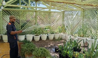 كوادر شعبة الحدائق والمتنزهات تواصل أعمالها بإدامة وسقي الحدائق العامة