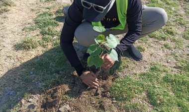 تواصل أعمال الزراعة والإدامة في حدائق ومتَنزهات الناصرية