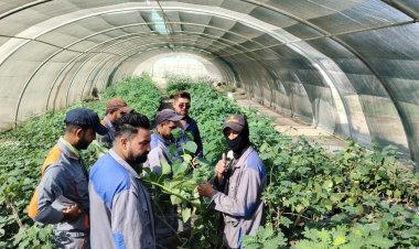 استمرار  أعمال حملة التشجير الخريفية في الناصرية