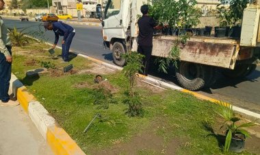 مواصلة حملة الاستزراع الخريفية في الناصرية