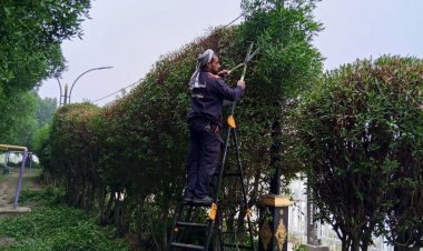 ضمن أعمالها اليومية، تواصل كوادر شعبة الحدائق والمتنزهات في بلدية الناصرية تنفيذ أعمال الصيانة والتأهيل للحدائق والمتنزهات العامة في عموم المدينة، بهدف الحفاظ على ديمومتها والارتقاء بالمظهر الجمالي للمدينة.