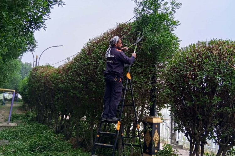 ضمن أعمالها اليومية، تواصل كوادر شعبة الحدائق والمتنزهات في بلدية الناصرية تنفيذ أعمال الصيانة والتأهيل للحدائق والمتنزهات العامة في عموم المدينة، بهدف الحفاظ على ديمومتها والارتقاء بالمظهر الجمالي للمدينة.